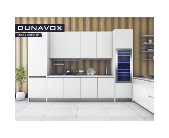 Винный шкаф Dunavox DAB-65.178TSS.TO — (на 65 бутылок), Цвет фасада: Серебристый, фотография № 2