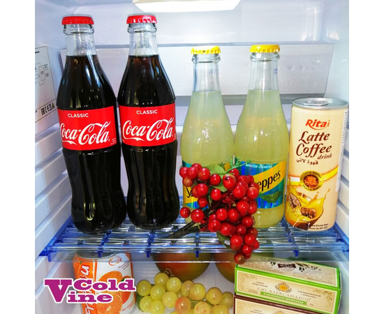 Холодильник мини-бар Cold Vine MCA-28B, Дверь: Глухая, фотография № 3