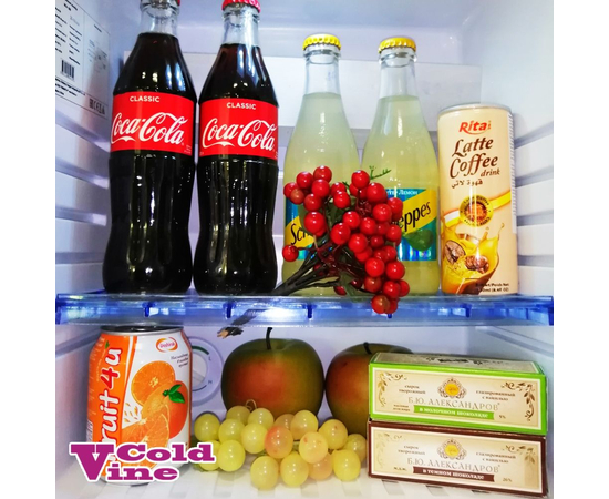 Холодильник мини-бар Cold Vine MCA-28B, Дверь: Глухая, фотография № 5