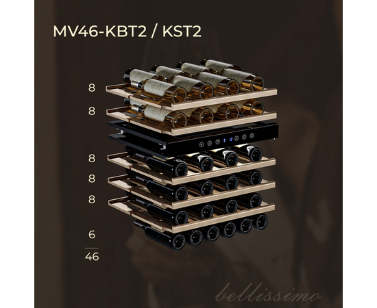 Винный шкаф Meyvel MV46-KST2 — (на 46 бутылок), Цвет фасада: Серебристый, фотография № 12