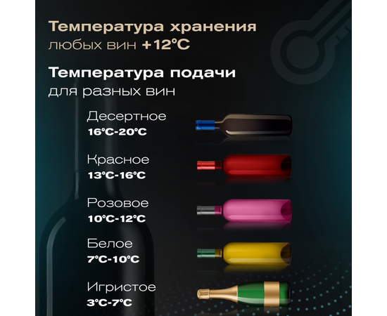 Винный шкаф Meyvel MV46-KST2 — (на 46 бутылок), Цвет фасада: Серебристый, фотография № 14
