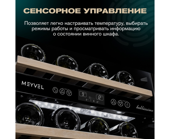 Винный шкаф Meyvel MV46-KST2 — (на 46 бутылок), Цвет фасада: Серебристый, фотография № 20
