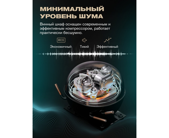 Винный шкаф Meyvel MV98-KBF2 — (), фотография № 16