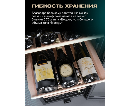 Винный шкаф Meyvel MV98-KBF2 — (), фотография № 8